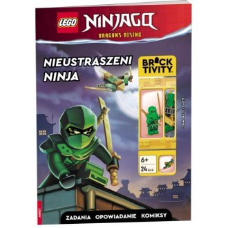 LEGO Ninjago Nieustraszeni NINJA AMEET Książka 9788325345365