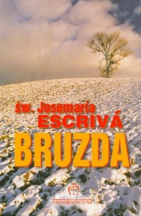 Bruzda - okładka książki