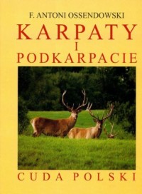 Karpaty i Podkarpacie (reprint) - okładka książki