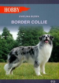 Border collie - okładka książki