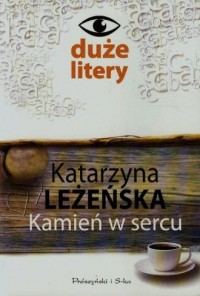 Kamień w sercu - okładka książki