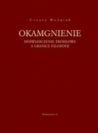 Okamgnienie - okładka książki