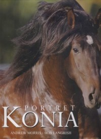 Portret konia - okładka książki