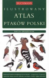 Ilustrowany atlas ptaków Polski - okładka książki