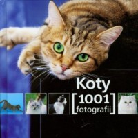 Koty. 1001 fotografii - okładka książki