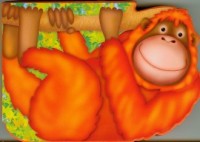 Orangutan - okładka książki