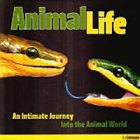 Animal life. An Intimate Journey. - okładka książki