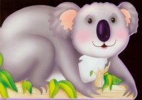 Koala - okładka książki