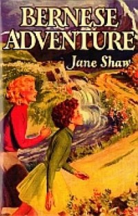 Bernese Adventure - okładka książki