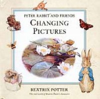 Changing Pictures - okładka książki