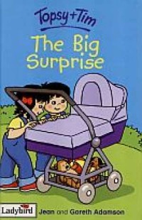The Big Surprise - okładka książki