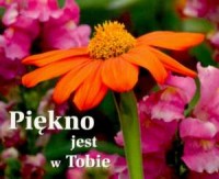 Piękno jest w tobie - okładka książki