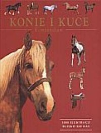 Konie i kuce. Kompendium - okładka książki