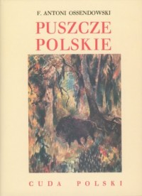 Puszcze polskie. Seria: Cuda Polski - okładka książki