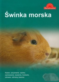 Świnka morska - okładka książki