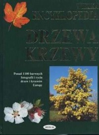 Wielka encyklopedia drzewa i krzewy. - okładka książki