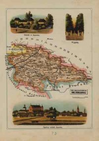 Powiat Konstantynowski - mapa szczegółowa - zdjęcie reprintu, mapy