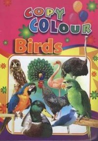 Książeczka do kolorowania - Ptaki - okładka książki
