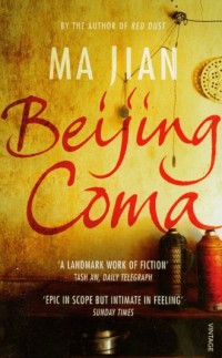Beijing Coma - okładka książki