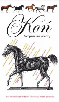 Koń. Kompendium wiedzy - okładka książki
