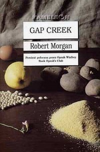 Gap Creek - okładka książki