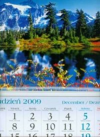 Kalendarz 2010 KT02 Jezioro trójdzielny - okładka książki