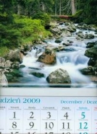Kalendarz 2010 KT07 Potok trójdzielny - okładka książki