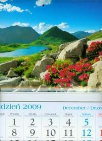 Kalendarz 2010 KT08 Dolina trójdzielny - okładka książki