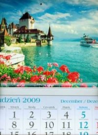 Kalendarz 2010 KT10 Zamek trójdzielny - okładka książki
