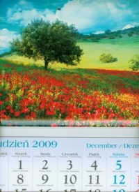 Kalendarz 2010 KT13 Łąka trójdzielny - okładka książki