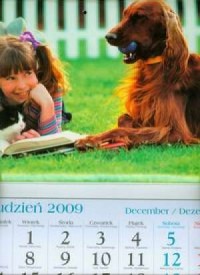 Kalendarz 2010 KT16 Kasia trójdzielny - okładka książki