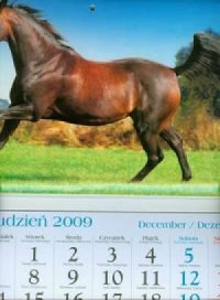 Kalendarz 2010 KT17 Koń trójdzielny - okładka książki