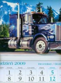 Kalendarz 2010 KT18 Truck trójdzielny - okładka książki