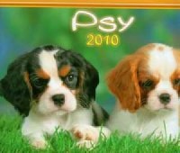 Kalendarz 2010 WL08 Psy rodzinny - okładka książki