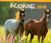 Kalendarz 2010 WL10 Konie rodzinny - okładka książki