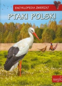 Encyklopedia zwierząt. Ptaki Polski - okładka książki