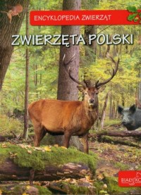 Encyklopedia zwierząt. Zwierzęta - okładka książki