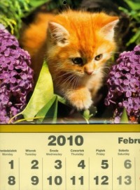 Kalendarz 2010 trójdzielny Lux - okładka książki