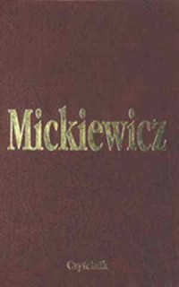 Literatura słowiańska. Tom 10 - okładka książki