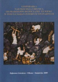 Gospodarka nad Przemszą i Brynicą - okładka książki