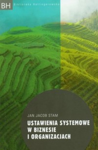 Ustawienia systemowe w biznesie - okładka książki