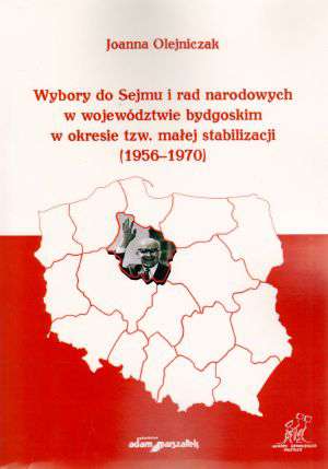 Wybory do Sejmu i rad narodowych - okładka książki