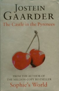Castle in the Pyrenees - okładka książki