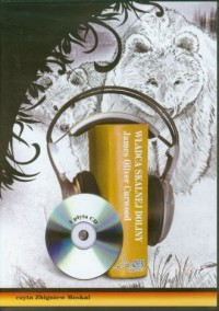 Władca Skalnej Doliny (CD mp3) - pudełko audiobooku