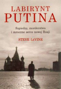 Labirynt Putina - okładka książki