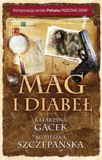 Mag i diabeł - okładka książki