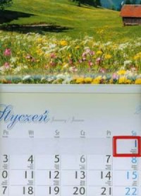 Kalendarz 2011 KJ02 Polana jednodzielny - okładka książki