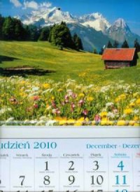 Kalendarz 2011 KT06 Hala trójdzielny - okładka książki