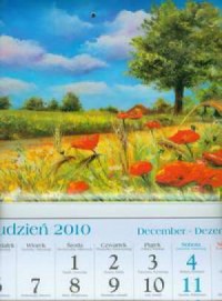 Kalendarz 2011 KT09 Maki trójdzielny - okładka książki