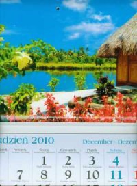 Kalendarz 2011 KT10 Wakacje trójdzielny - okładka książki